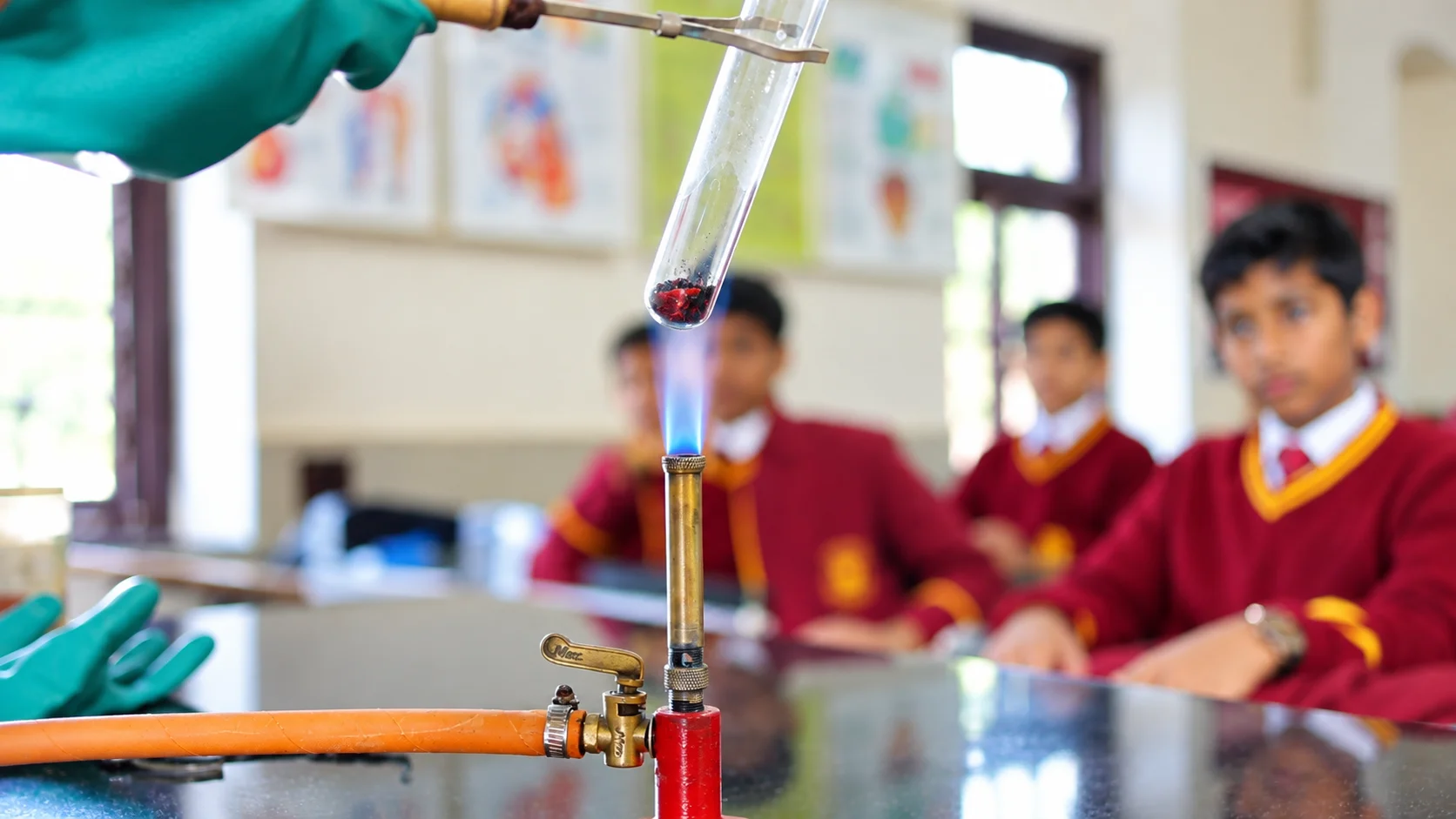 Students in the science laboratory