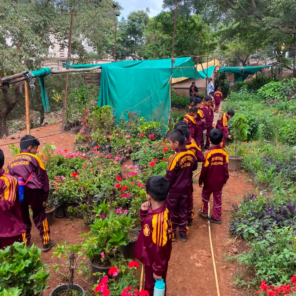 St. Peter's students exploring plants and learning outdoors